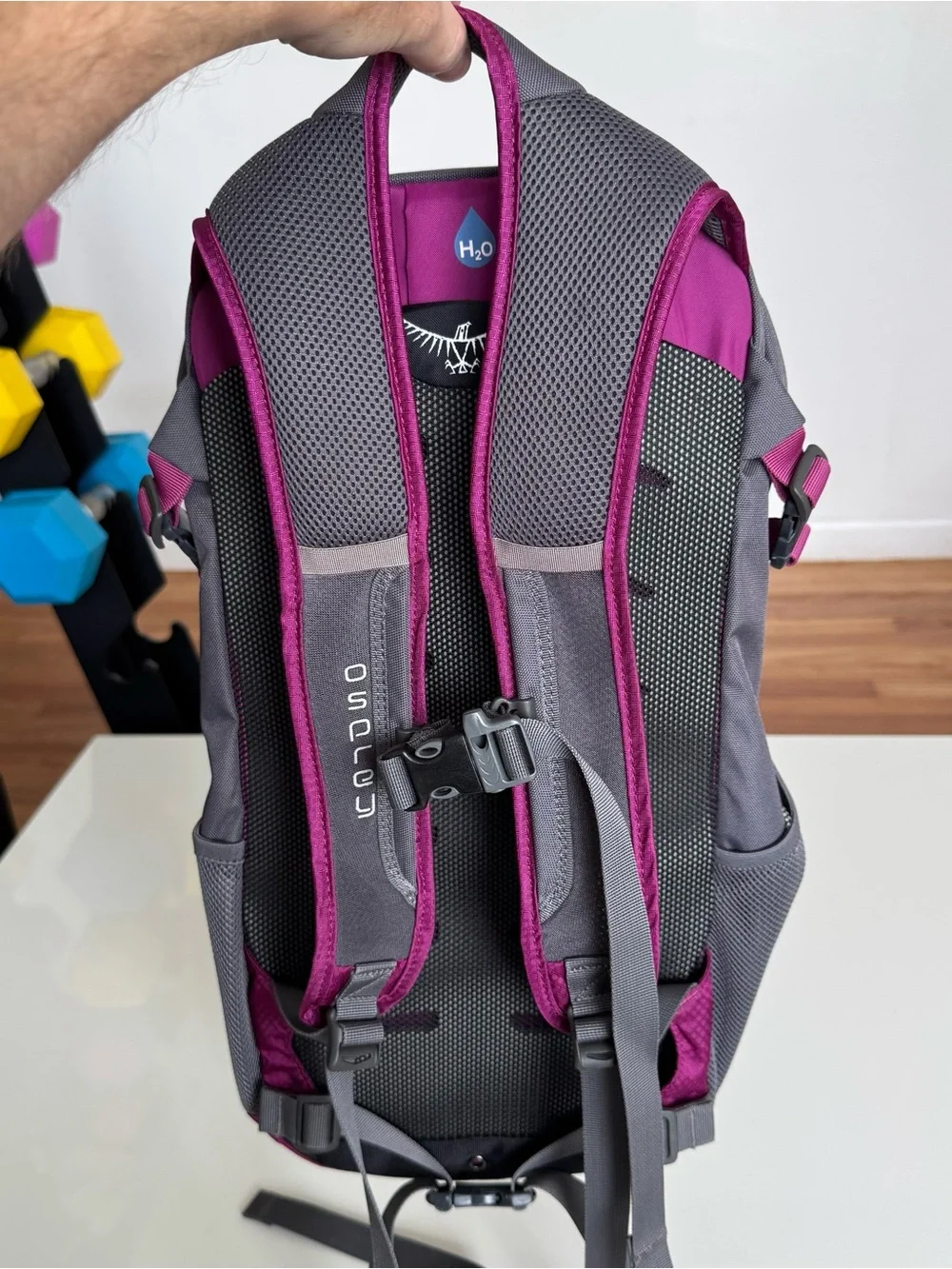 OSPREY daylite backpack